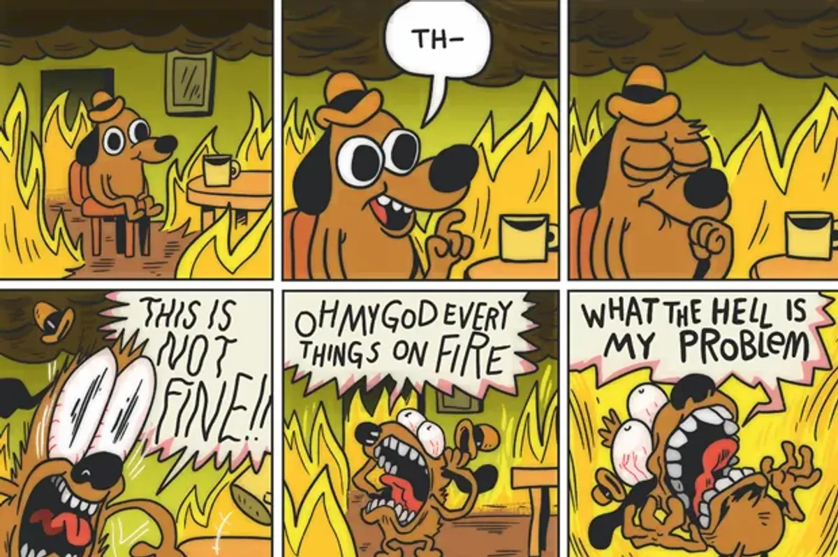 this_is_not_fine.webp